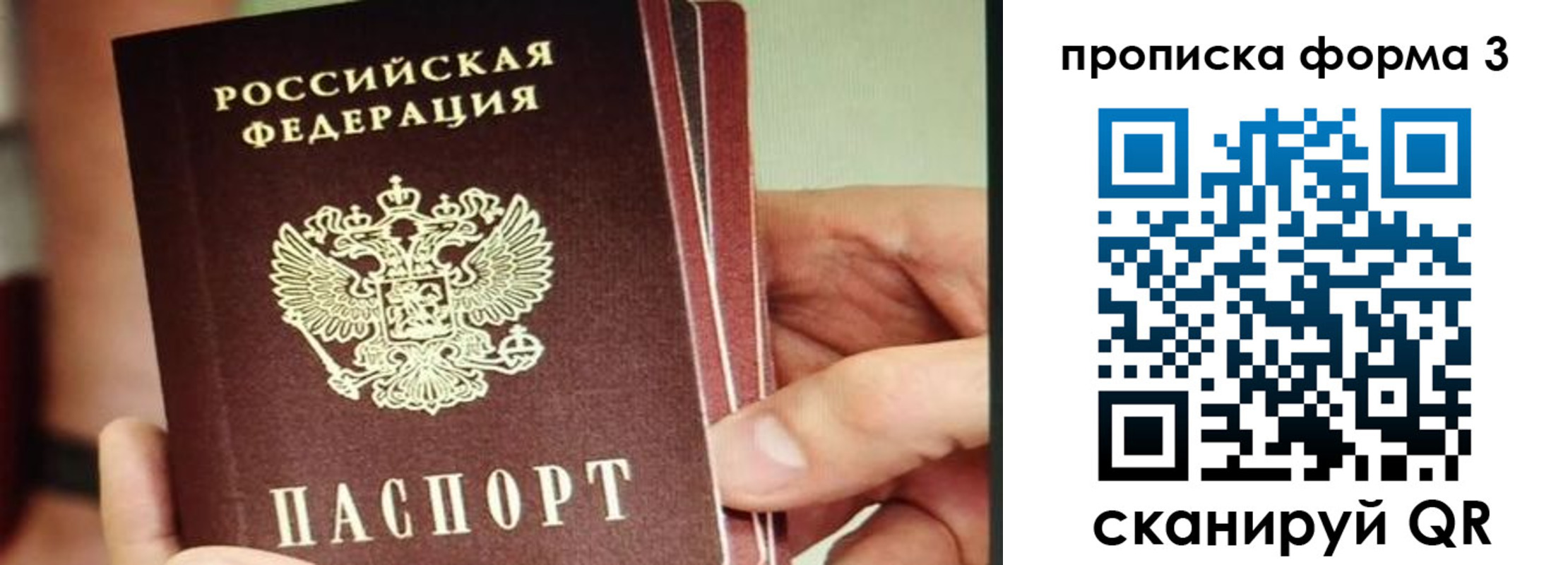 прописка законно в Богородске